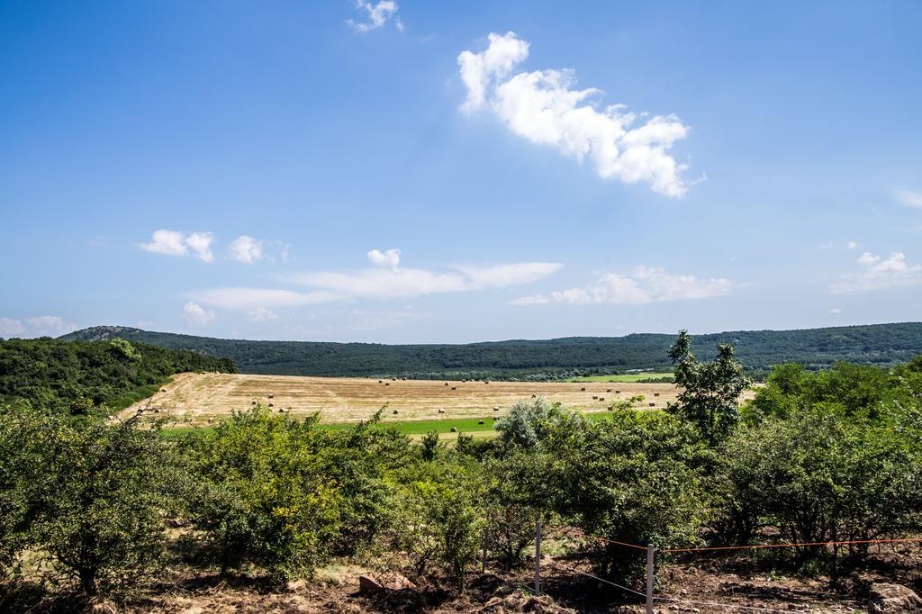 הוילה Szár Oeregtoelgy Vendeghaz מראה חיצוני תמונה